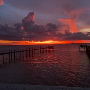 Meet your Posher, Joey